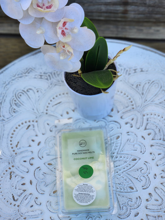 WAX MELT COCONUT LIME